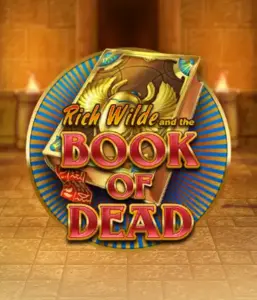 Dive into the thrilling world of Book of Dead Slot by Play'n GO, featuring vivid graphics of Rich Wilde's journey through ancient Egyptian tombs and artifacts. Find lost riches with engaging mechanics like free spins, expanding symbols, and a gamble option. Ideal for those seeking adventure with a desire for exciting finds.